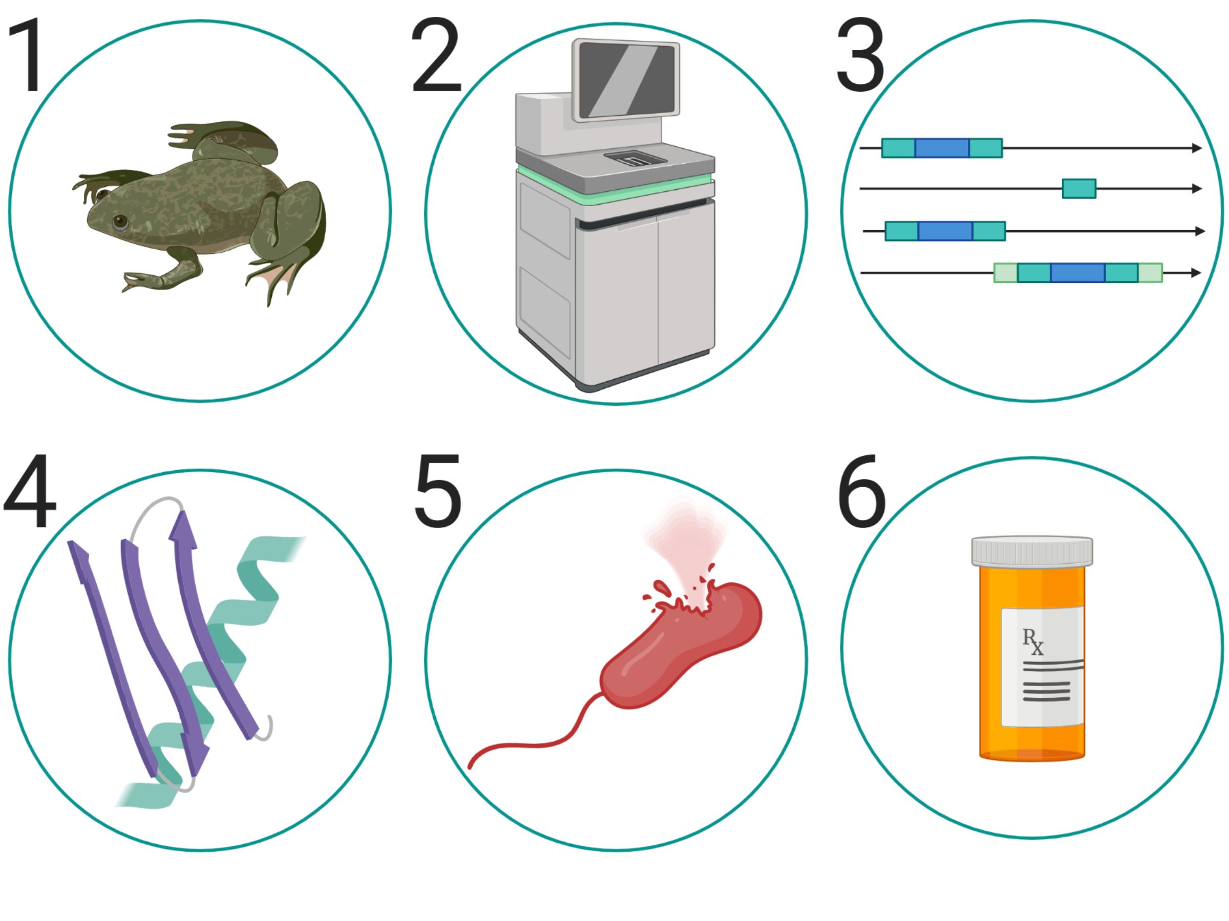 Antimicrobial Peptide Discovery Genome Sciences Centre